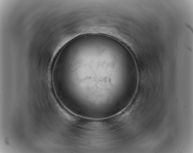 X0000096681517200802051234