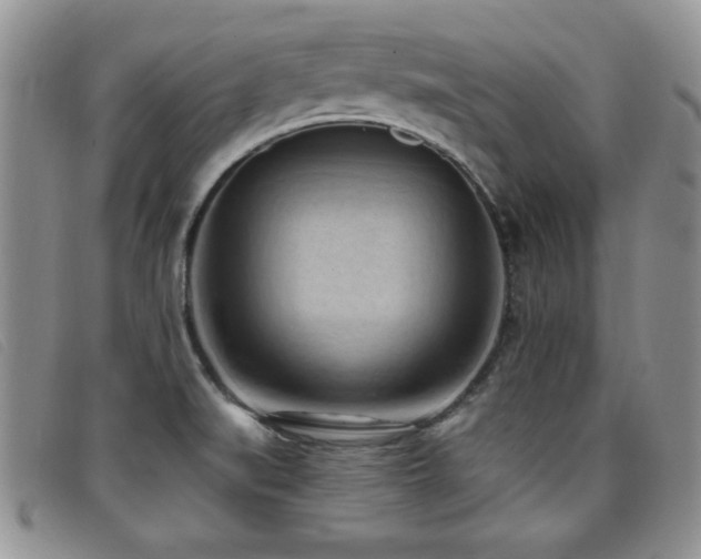 X0000096681519200802051234