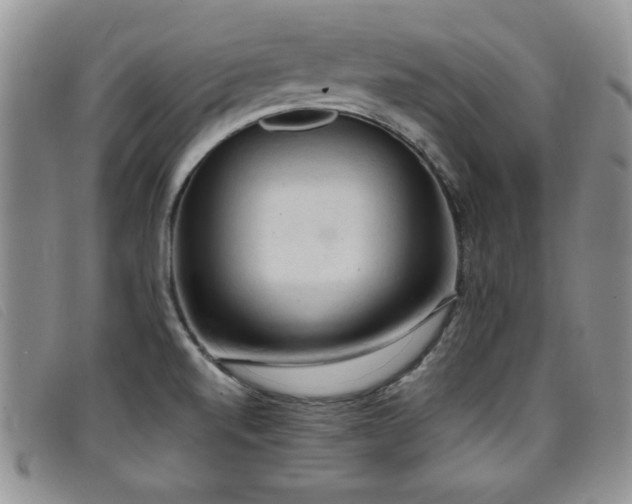 X0000096681520200802051234