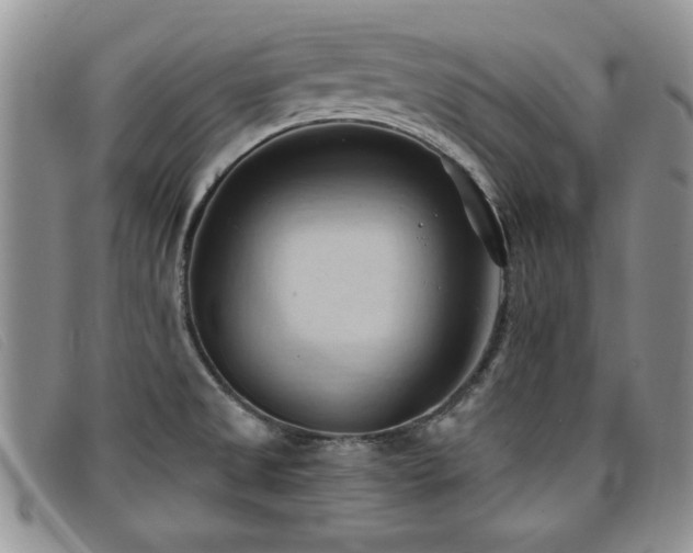 X0000096681525200802051234