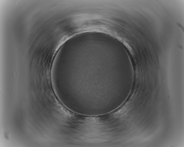 X0000096681529200802051234