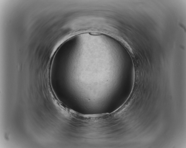 X0000096681530200802051234