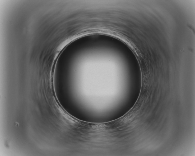 X0000096681535200802051234