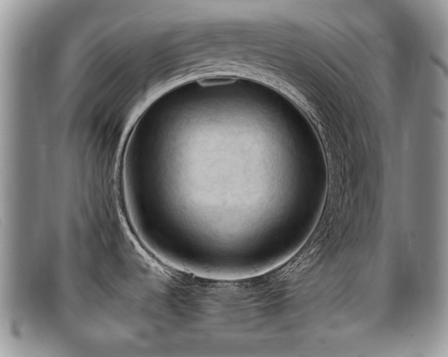 X0000096681536200802051234