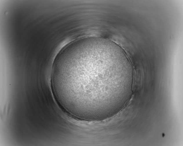 X0000096680003200802121221