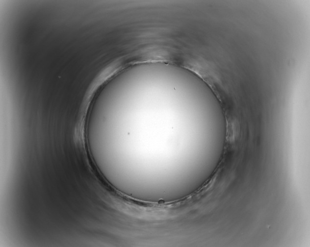 X0000096680004200802121221
