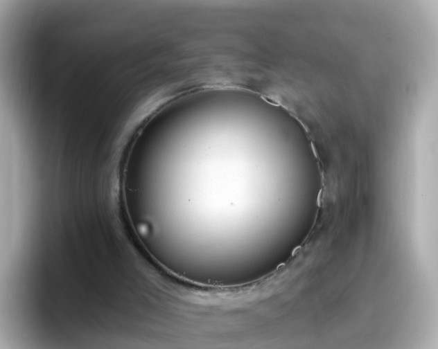 X0000096680005200802121221