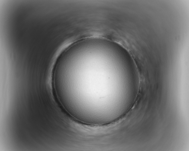 X0000096680006200802121221
