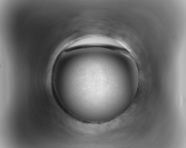 X0000096680007200802121221