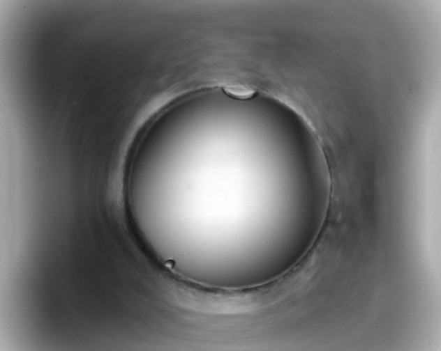 X0000096680008200802121221