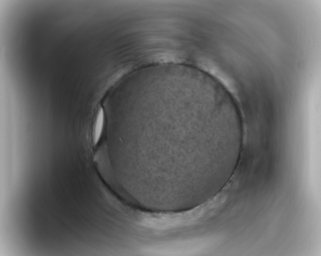 X0000096680009200802121221