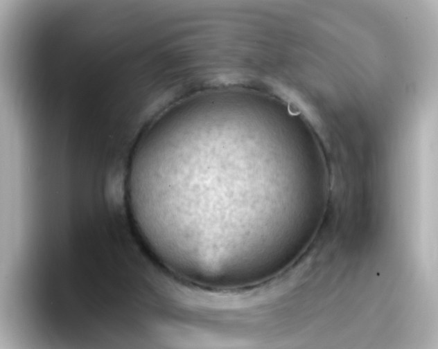 X0000096680010200802121221