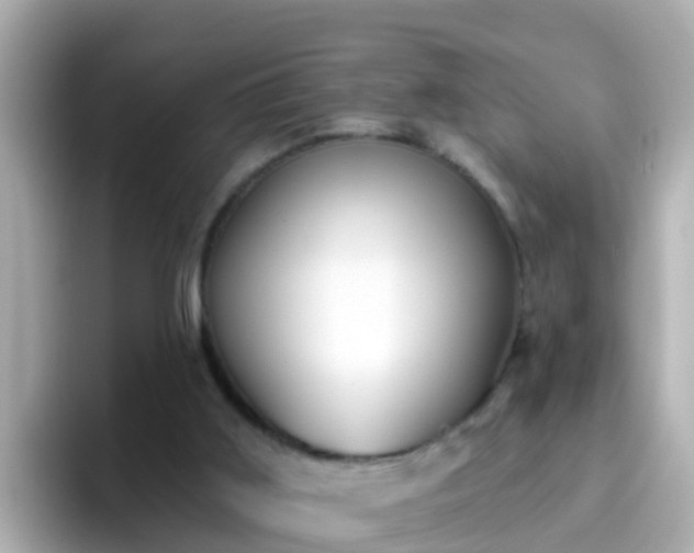 X0000096680011200802121221