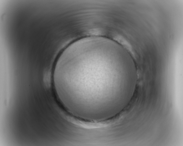 X0000096680012200802121221