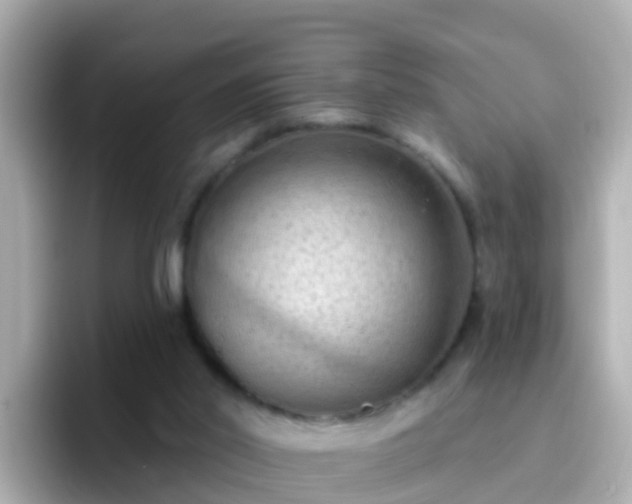 X0000096680014200802121221