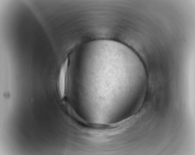X0000096680017200802121221
