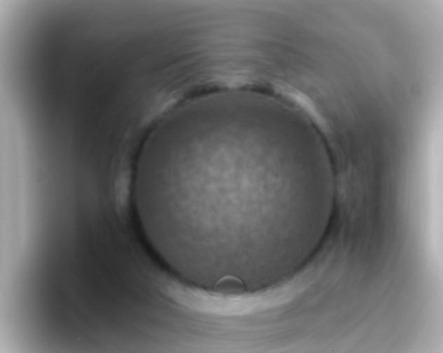 X0000096680018200802121221