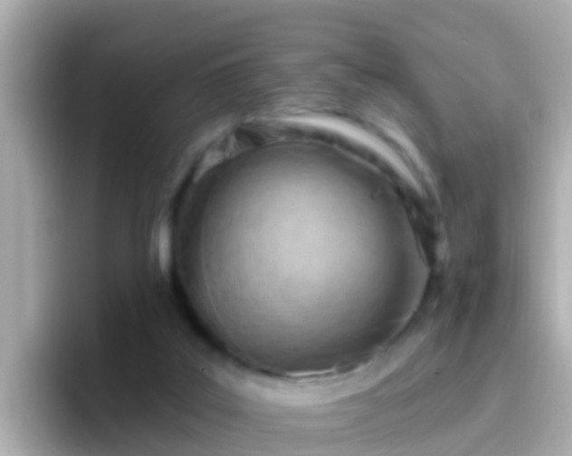 X0000096680019200802121221