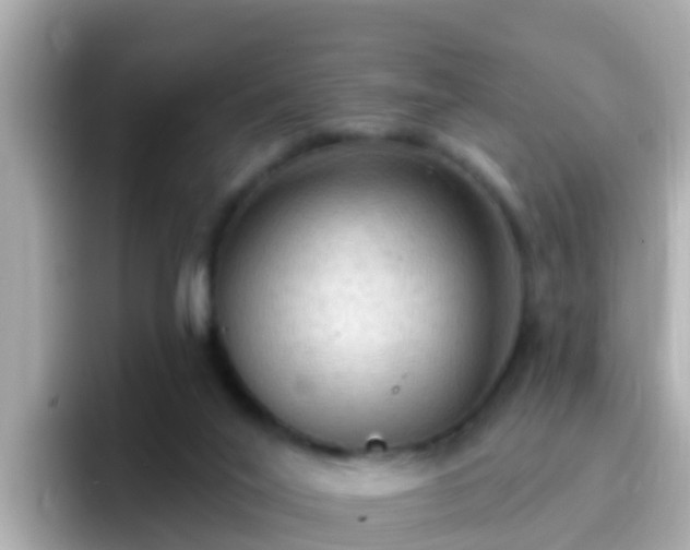 X0000096680020200802121221