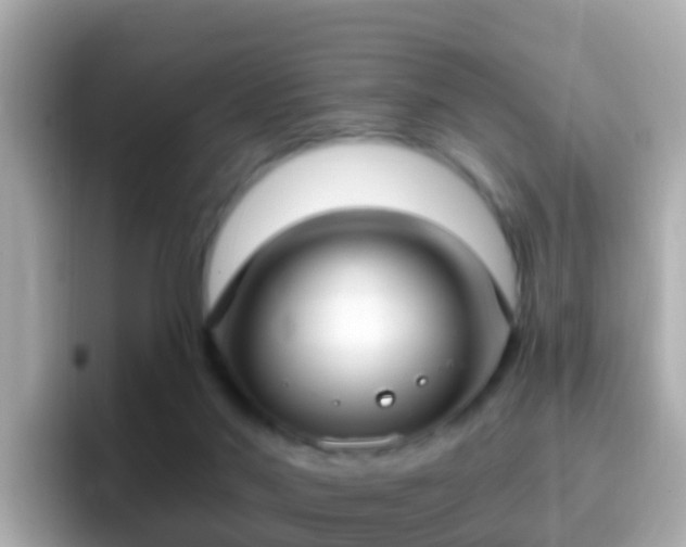 X0000096680022200802121221