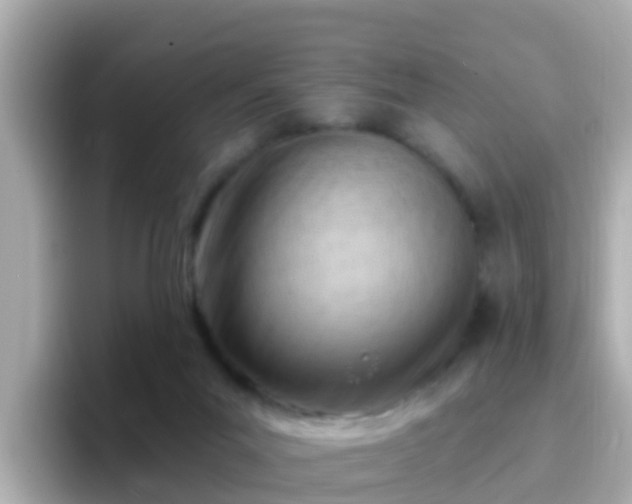X0000096680023200802121221