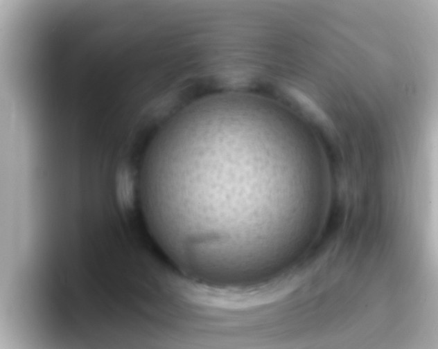X0000096680026200802121221