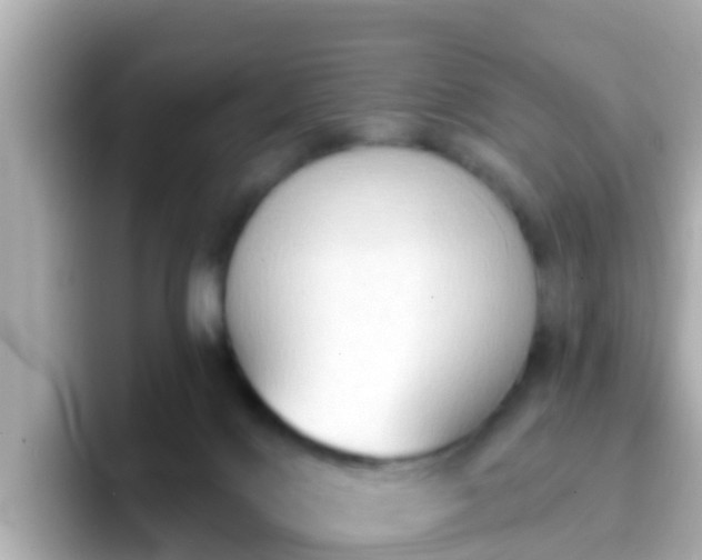 X0000096680028200802121221