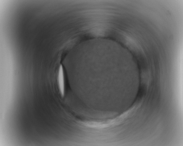 X0000096680029200802121221