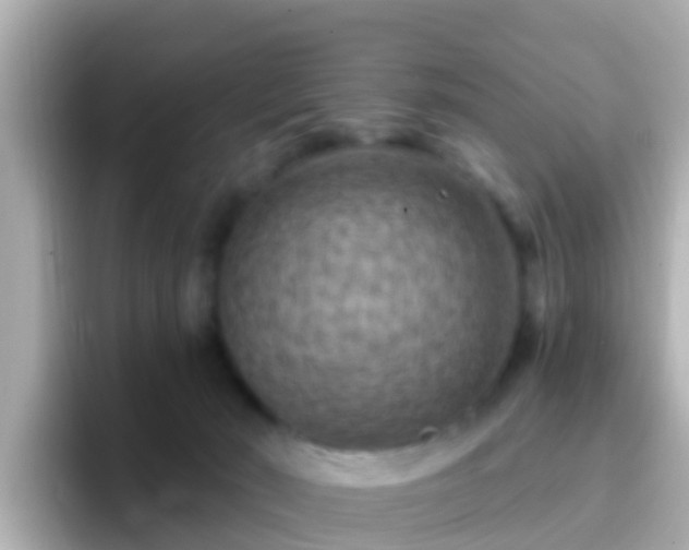 X0000096680030200802121221