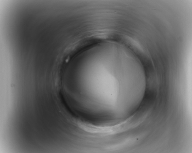 X0000096680031200802121221