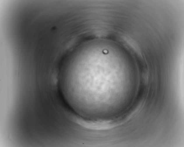 X0000096680032200802121221