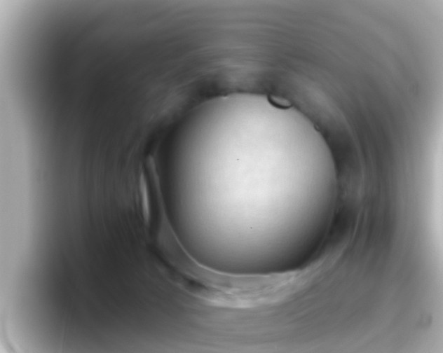 X0000096680033200802121221