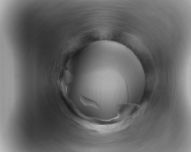 X0000096680039200802121221