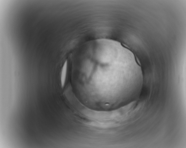 X0000096680041200802121221