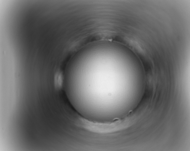 X0000096680042200802121220
