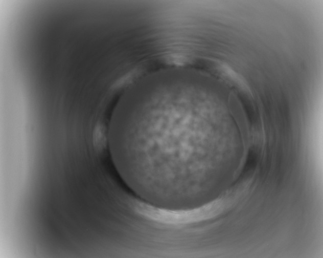 X0000096680043200802121220