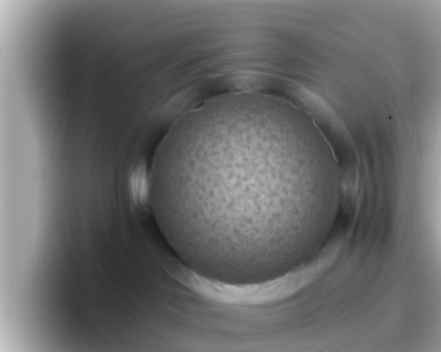 X0000096680046200802121220