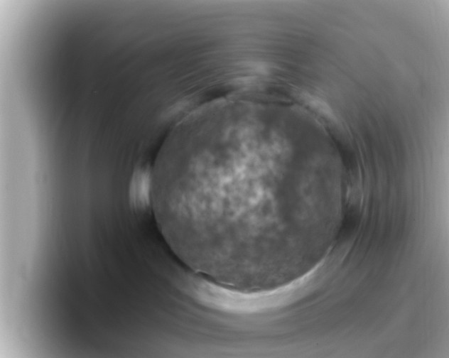 X0000096680047200802121220