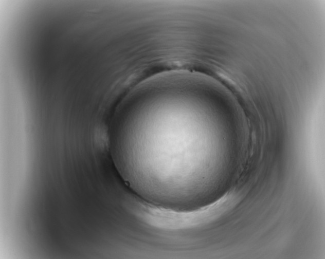X0000096680048200802121220