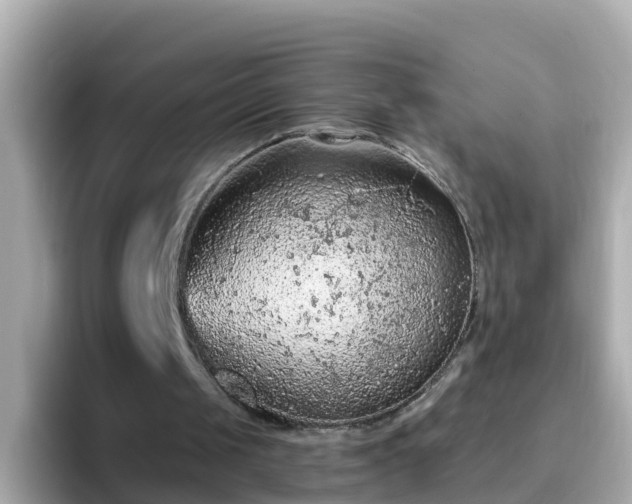 X0000096680049200802121220