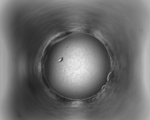 X0000096680050200802121220