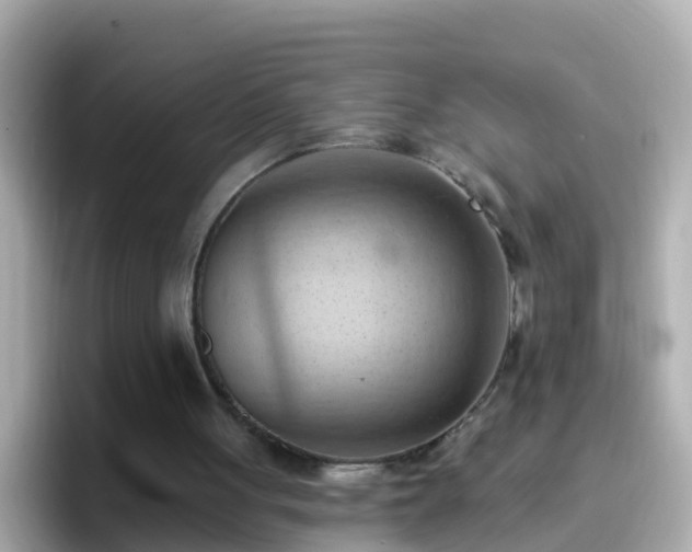 X0000096680051200802121220