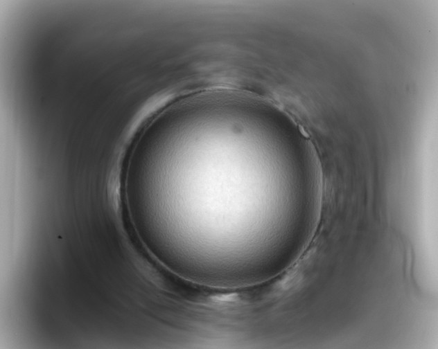 X0000096680054200802121220