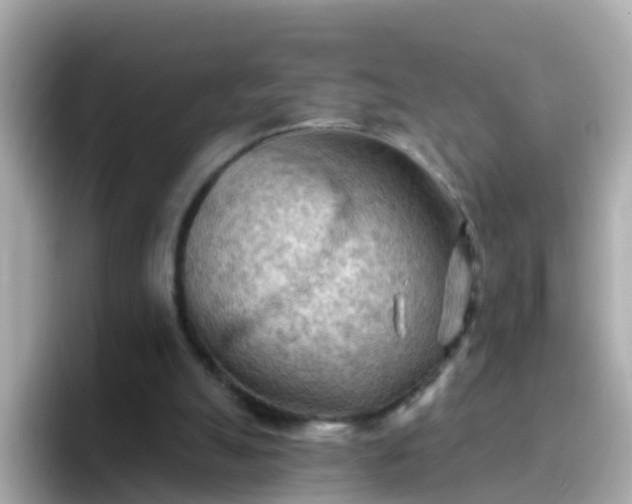 X0000096680055200802121220