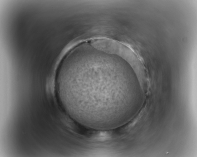 X0000096680056200802121220