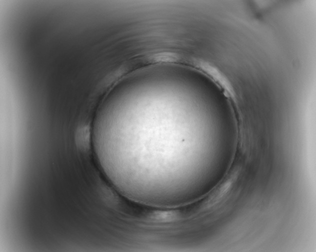 X0000096680057200802121220