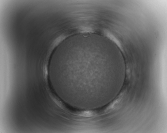 X0000096680059200802121220