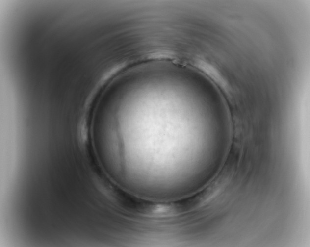 X0000096680060200802121220