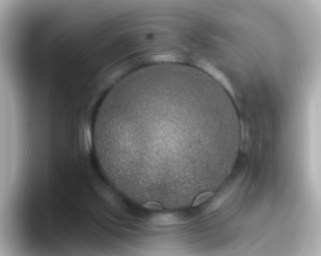X0000096680061200802121220