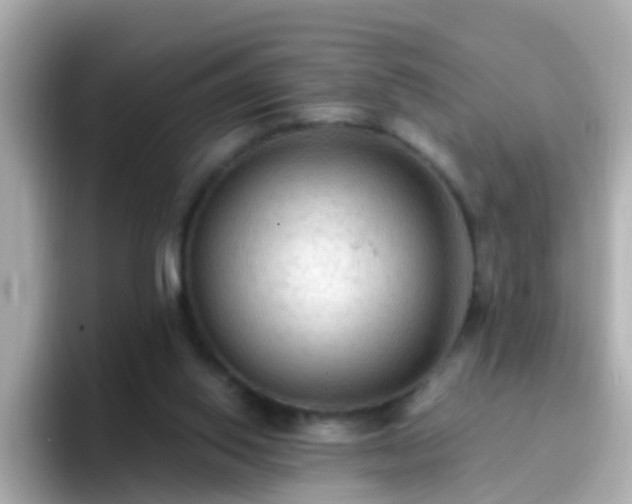 X0000096680062200802121220